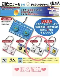 ヒヨコ二ナールB錠 ジェネリックチャーム パンダミン