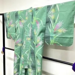 浴衣　綿　小麦　横縞　グラデーション　グリーンカラー　着物　073tz