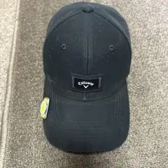 Item thumbnail for item a9a328a4-411f-4cc6-83ff-c71637ce9f71