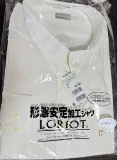 限界値下 LORIOT シルク混形状安定 4L 47-86 長袖シャツ ホワイト