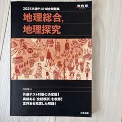2025共通テスト 地理総合問題集