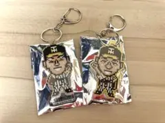 阪神タイガース アクリルキーホルダー2種