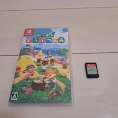 あつまれ どうぶつの森 Nintendo Switch