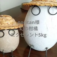 みかん