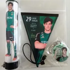 松本山雅 山ガチャ 2025年 29番 ルーカスバルガス選手セット