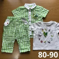 昆虫　ギンガムチェック　半袖シャツ　ズボン　セット売り　グリーン　80 90