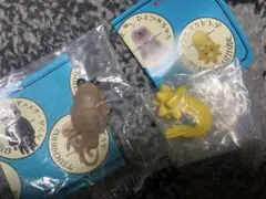 【ヒグチユウコ　PUTITTO】アノマロ・テアシオカヒトデ