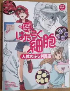 はたらく細胞人体のふしぎ図鑑 からだのしくみを学べる!