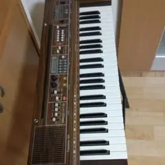 CASIOカシオトーン501