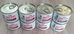Item thumbnail for item 57d5272c-3e3f-429f-9f30-4680568bd0c9