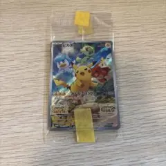 ポケモンカード　みんなでぼうけん　バイオレットスカーレット特典