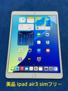 iPad Air3 simフリー 64GB シルバー⑨
