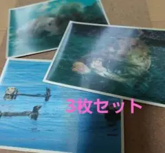 【貴重品】マリンピア松島水族館　メモリアル　グッズ　セット Amazon.co.jp: 貴重品マリンピア松島水族館 メモリアル グッズ