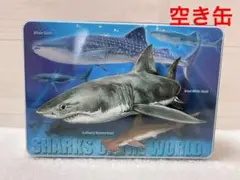 サメのイラストの空き缶 水族館 魚 シャーク