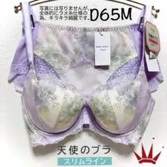 ✴︎D65Mレッドレーベル バイ トリンプ 天使のブラスリムライン M021