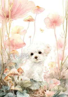 1149 オリジナル アニマルステッカー 動物 マルチーズとお花 4枚