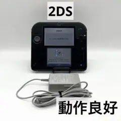 【動作良好】ニンテンドー 2DS クリアブラック 本体 ACアダプター付き