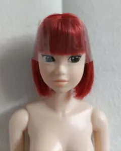 みんつく momoko doll 2009 みんなでつくる モモコドール 人形 ≪モモコドール≫ momokoDOLL みんなでつくる2017|【ぬいぐるみ