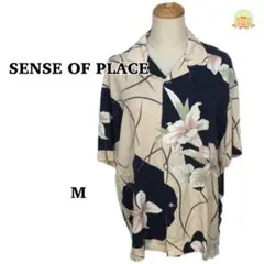 Item thumbnail for item 7e8533bb-996a-4a91-92aa-04ffb807eb2b