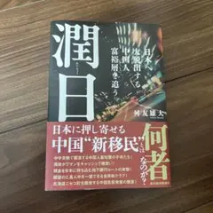 潤日(ルンリィー) : 日本へ大脱出する中国人富裕層を追う