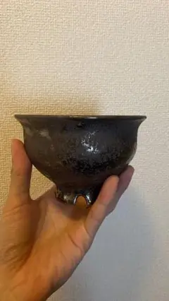 有馬和博 humanity ① 鉢 植木鉢 パキプス アガベ グラキリス 有馬和博 美味しから 鉢 植木鉢 パキプス アガベ グラキリス