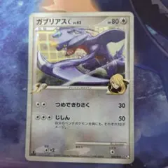 ポケカ ポケモンカード ガブリアス lv62