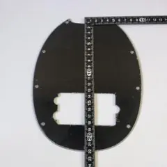 Item thumbnail for item 71e2d6bb-889c-4e09-8151-cf00a5e41087