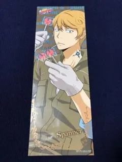 【非売品】家庭教師ヒットマン リボーン ロング サイズ ポスター ①