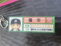 千葉ロッテマリーンズ　パワプロ　コラボ　種市