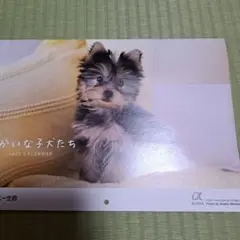 タイムロッキングコンテナ スマホ ロックボックス