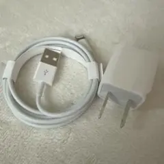 ⭐︎新品⭐︎Apple Iphone純正 充電器ケーブルとアダプタセット