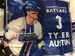 横浜DeNAベイスターズ ブラインドスタジアムシートクッション オースティン