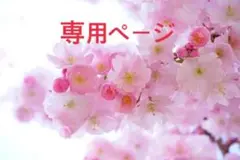 ほし様専用ページ