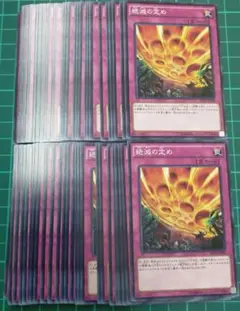 絶滅の定め　50枚セット　まとめ売り
