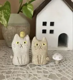 仲良し猫とインコときのこ♡
