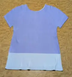 Item thumbnail for item 23570935-d9b1-417e-9c02-4149a75076e6