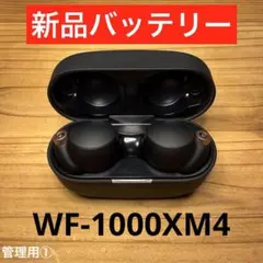 Item thumbnail for item d76af183-729d-4a96-8696-b6a94a314e01