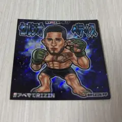 RIZIN セルジオ ペティス