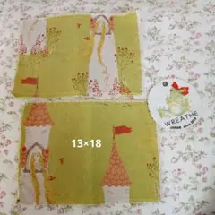 ラプンツェル　ハギレ　13×18 2枚　カエルチャーム