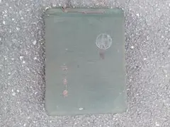 Item thumbnail for item fd264cfc-8a4c-4826-8022-f62d3849ec97