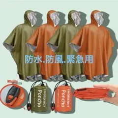 Item thumbnail for item 40d542be-3b4a-4fca-8700-a99fe5449218