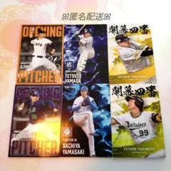 カルビー プロ野球チップス 2025 第二弾 カード