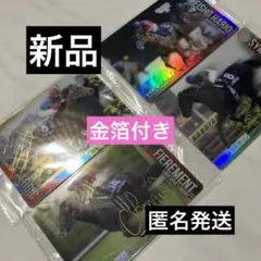 金箔 サラブレッドホースコレクション　競馬　カード　バンダイ