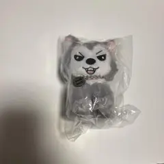 超特急　シューヤ　生誕グッズ