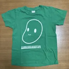 そらまめキッズアドベンチャー　Tシャツ　140㎝