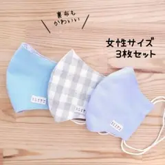 【ナチュラル】中学生〜女性サイズ 布立体マスク 3枚セット 紫系 シンプル