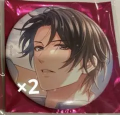 スタマイ New Card Collection 第二弾 缶バッジ 関大輔