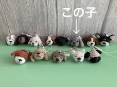 グレーの犬の顔ストラップ　プードル　あみぐるみ