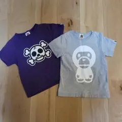 エイプ100sizeセット売り
