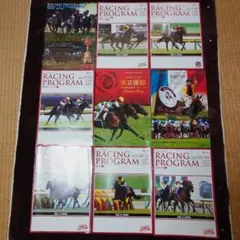 ★ドバイワールドカップ2007★現地レーシングプログラム　RACE CARD ☆ドバイワールドカップ2007☆現地レーシングプログラム RACE